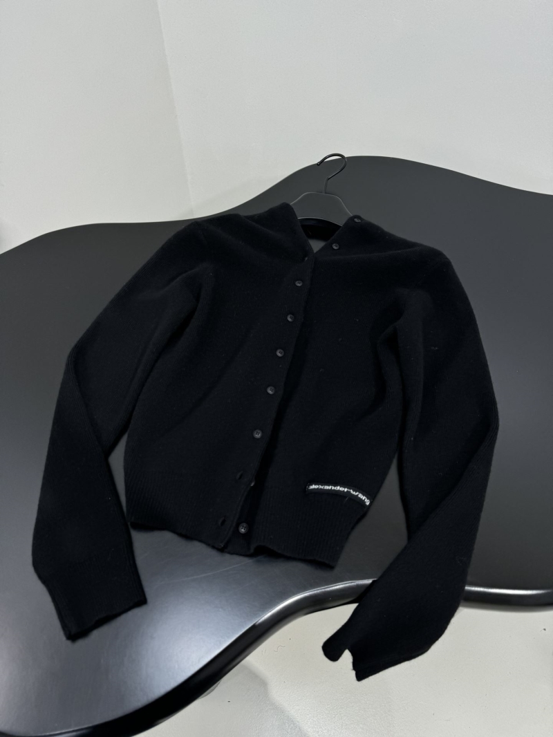 A1exa*der wang sweater